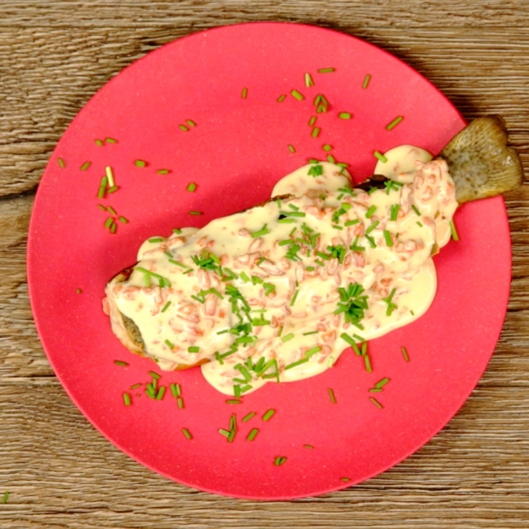Trout with Goji Sauce