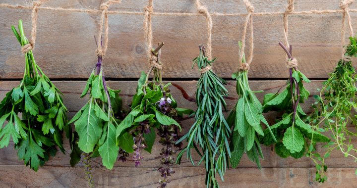 How to Keep Fresh Herbs Fresh for a Week.