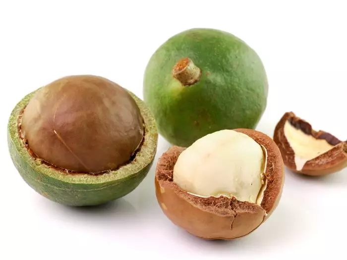 Best and Worst Nuts for Your Health: Macadamia Nuts