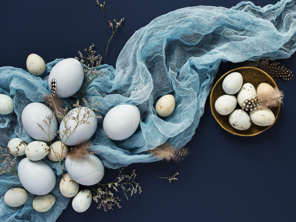A Guide to Understanding Egg Varieties.