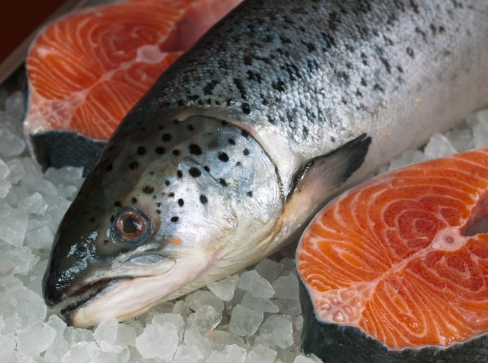 japanese tapeworm in salmon