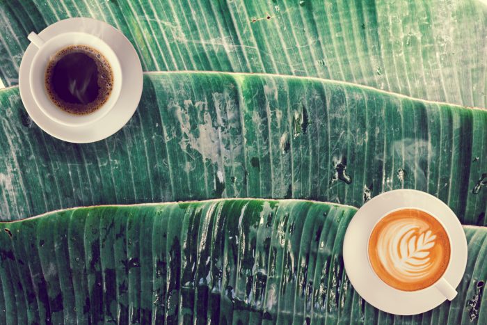 Coffee Pros and Cons - Is It Good or Bad for You?