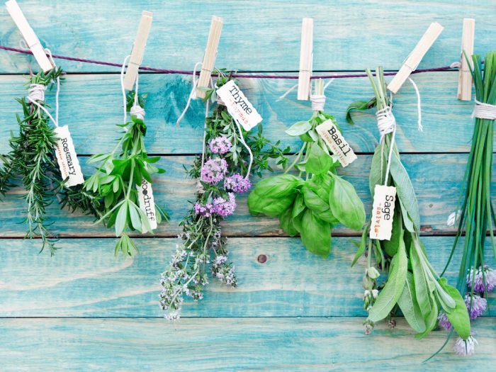 Let's Get You Started on Cooking with Herbs