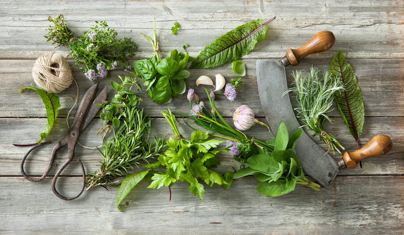 Fresh winter herbs like rosemary and thyme used in cooking