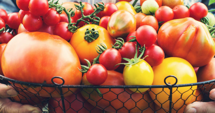 The Most Popular Tomato Types. How They Look and What They’re Good For.