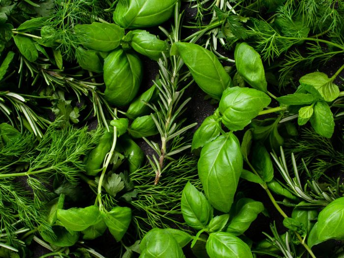 Basic Herbs to Keep in Your Kitchen at All Times