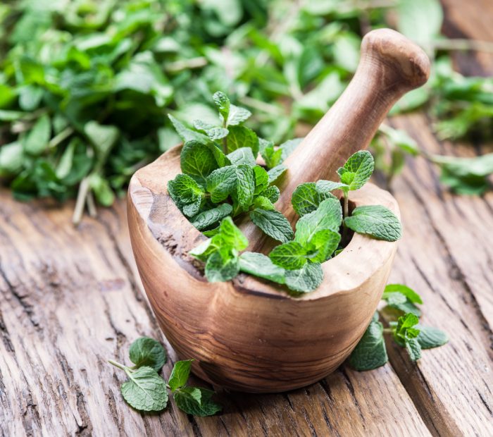 Basic Herbs to Keep in Your Kitchen at All Times