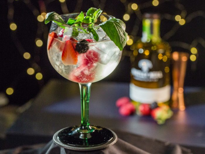 Forest Fruit Gin and Tonic