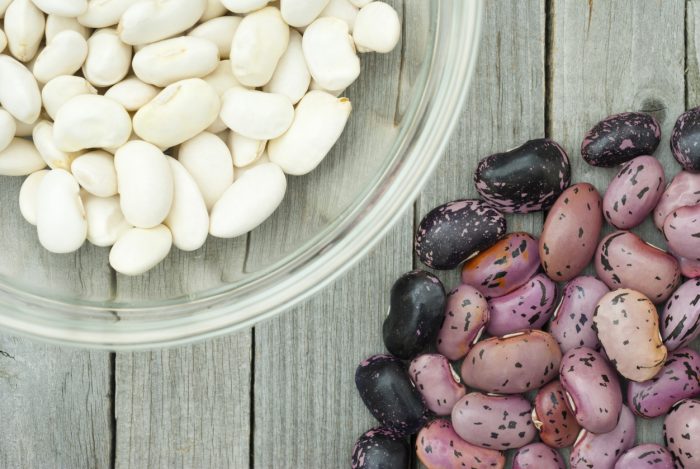 The Beaning of Life: 10 Common Types of Beans to Cook With