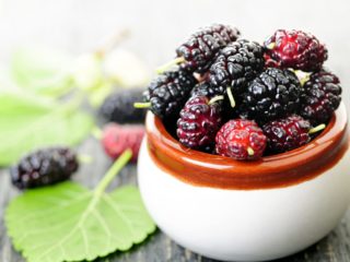 5 Health Benefits of Mulberries You Should Be Interested In