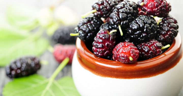 5 Health Benefits of Mulberries You Should Be Interested In