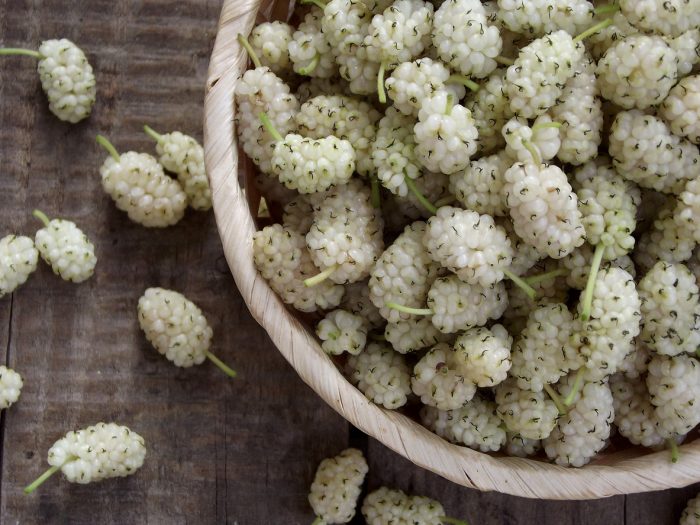 5 Health Benefits of Mulberries You Should Be Interested In