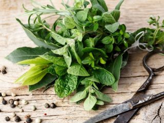 The Guide to Fresh Herbs: Choose, Store and Freeze