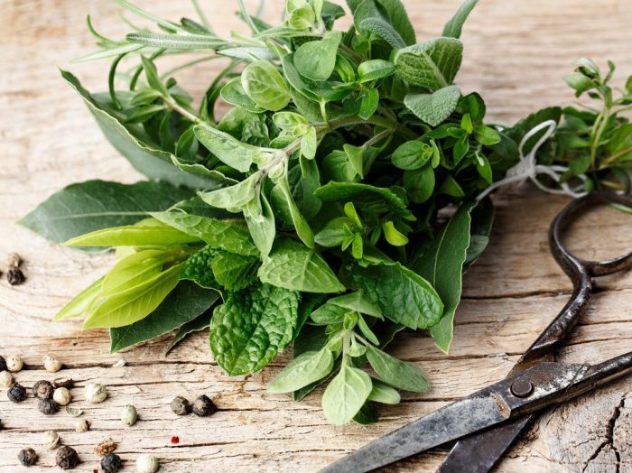 The Guide to Fresh Herbs: Choose, Store and Freeze