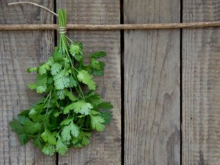 Coriander and Cilantro. Are They Two Different Things?