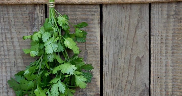 Coriander and Cilantro. Are They Two Different Things?