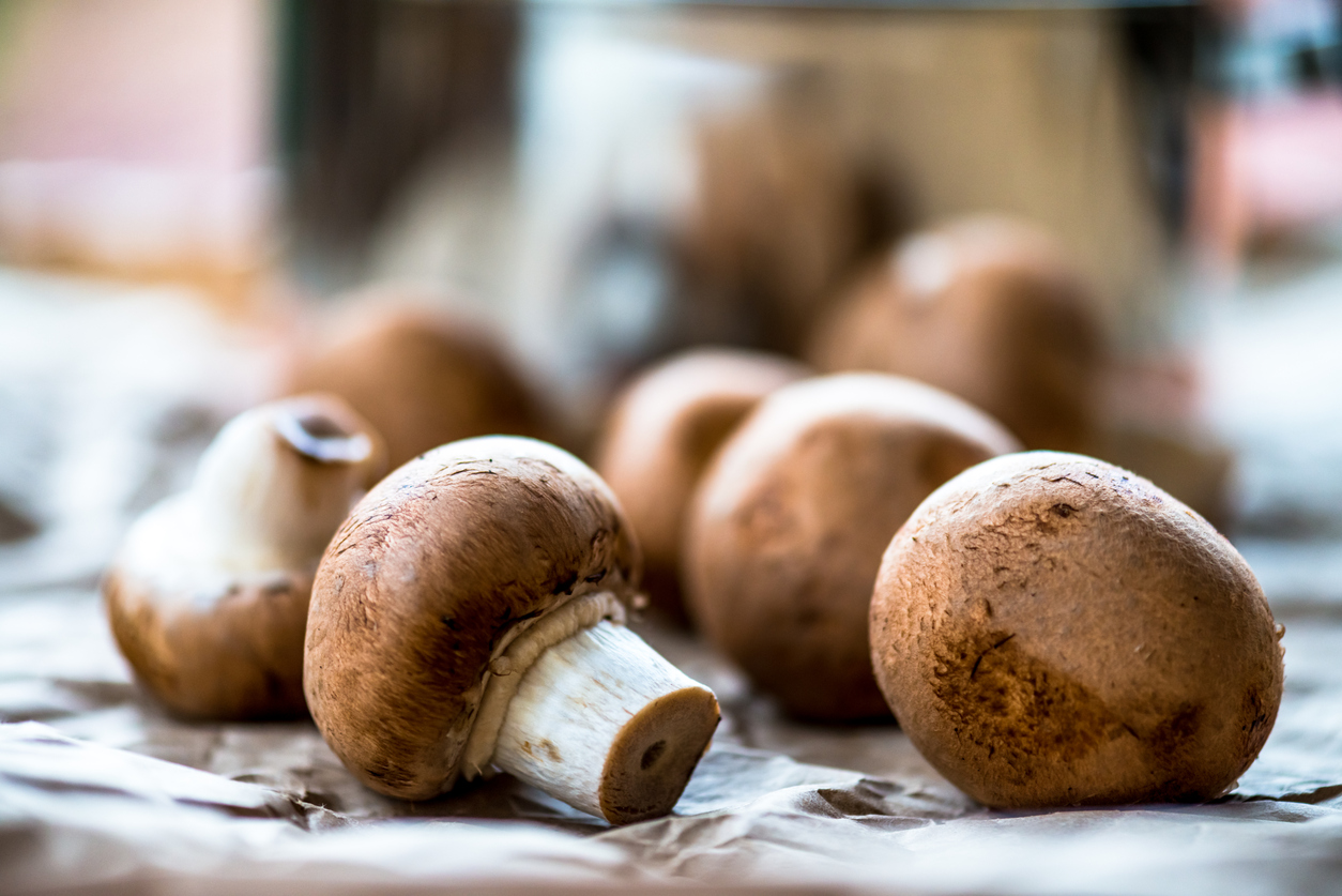 10 Mushroom Types and Their Best Uses in the Kitchen