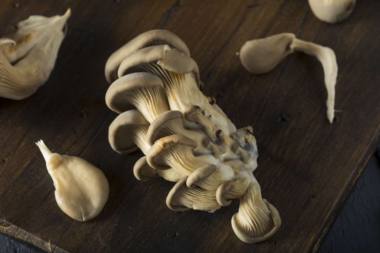 Mushroom Types and Their Best Uses