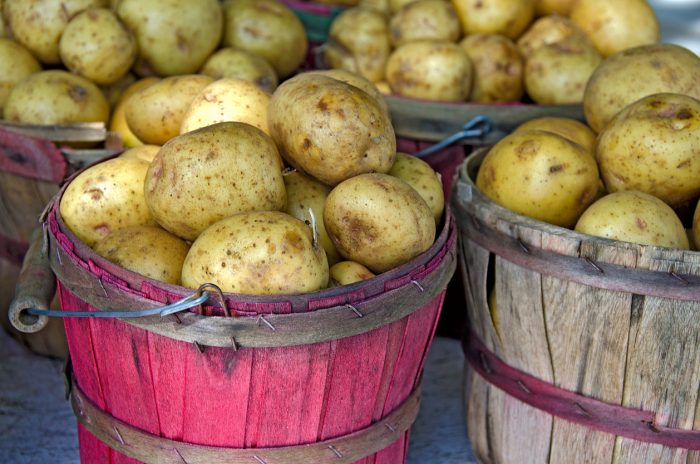 Great Mashed Potatoes: Tips and Tricks for a Side Dish to Remember