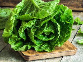 Americans and Canadians: Don’t Eat Romaine Lettuce!