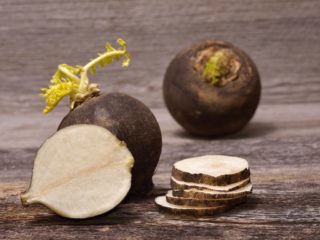 Cooking with Black Radish: What You Need to Know