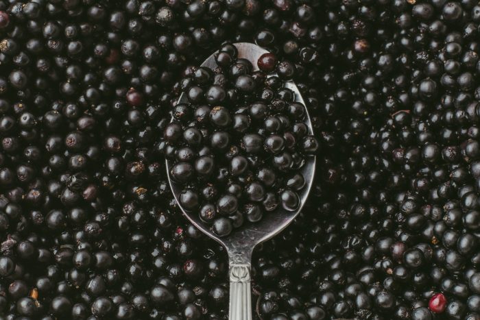 Eating Elderberries Minimizes Your Flu Symptoms