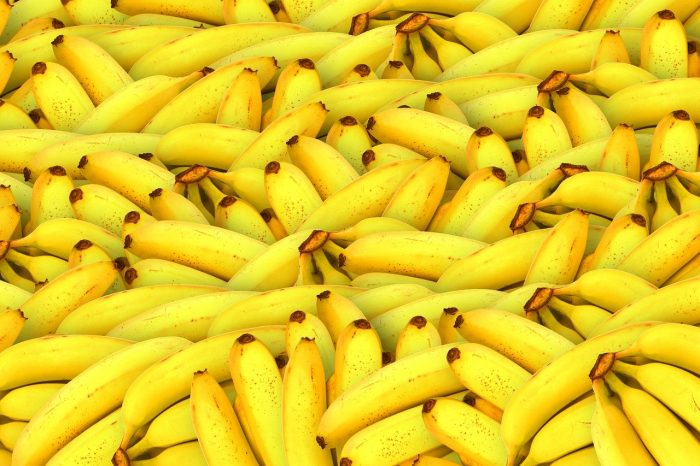 eating bananas daily