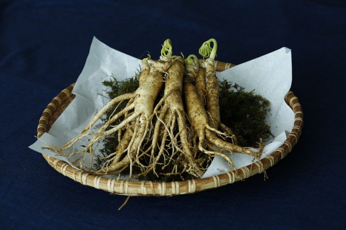 Ginseng roots in a basket